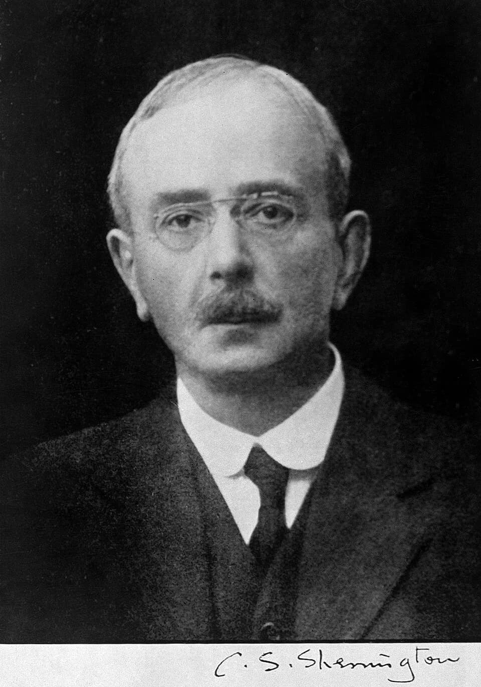 Charles Scott Sherrington - Charles Scott Sherrington