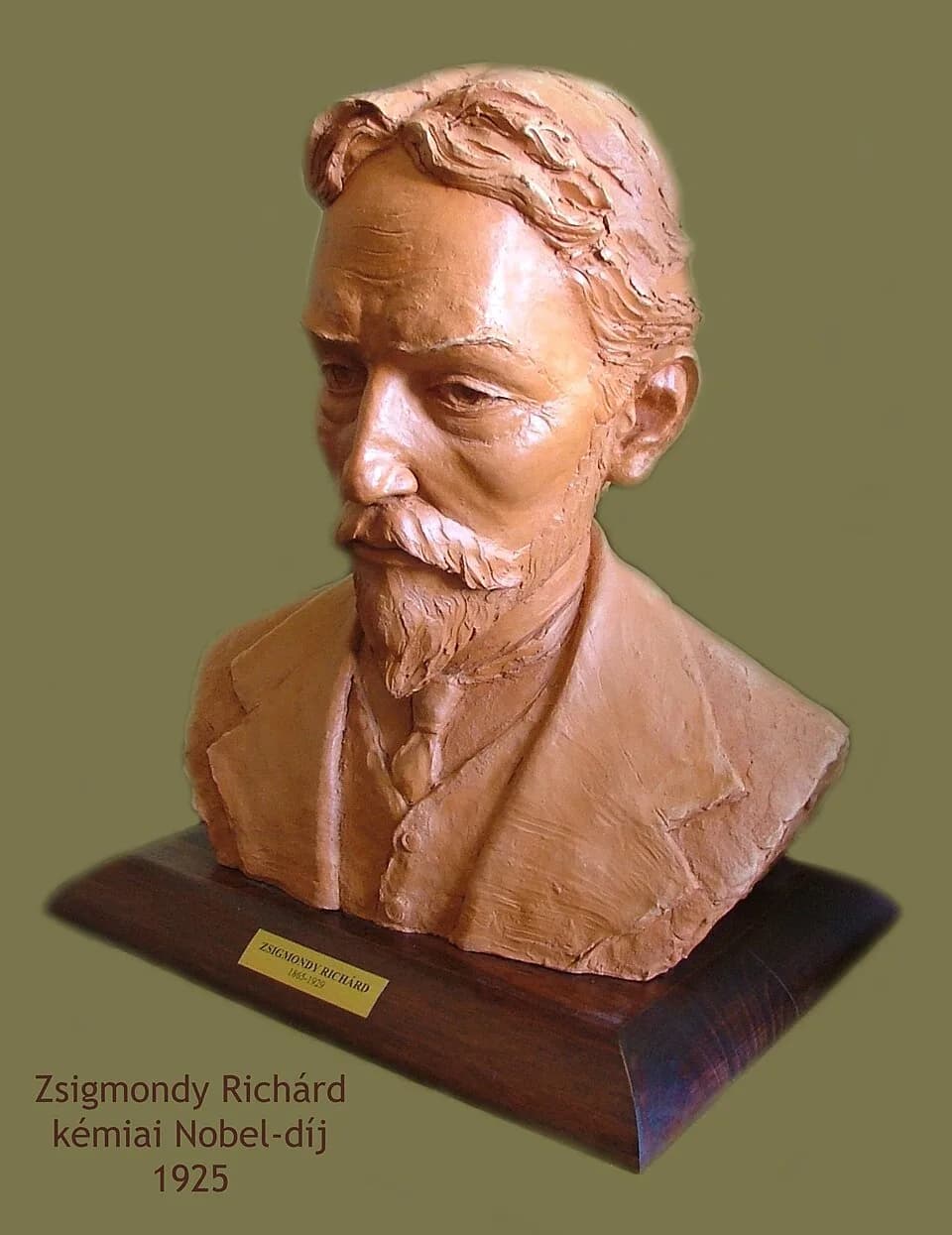 Richard Adolf Zsigmondy - Juha Richárd: Zsigmondy Richárd (terrakotta)