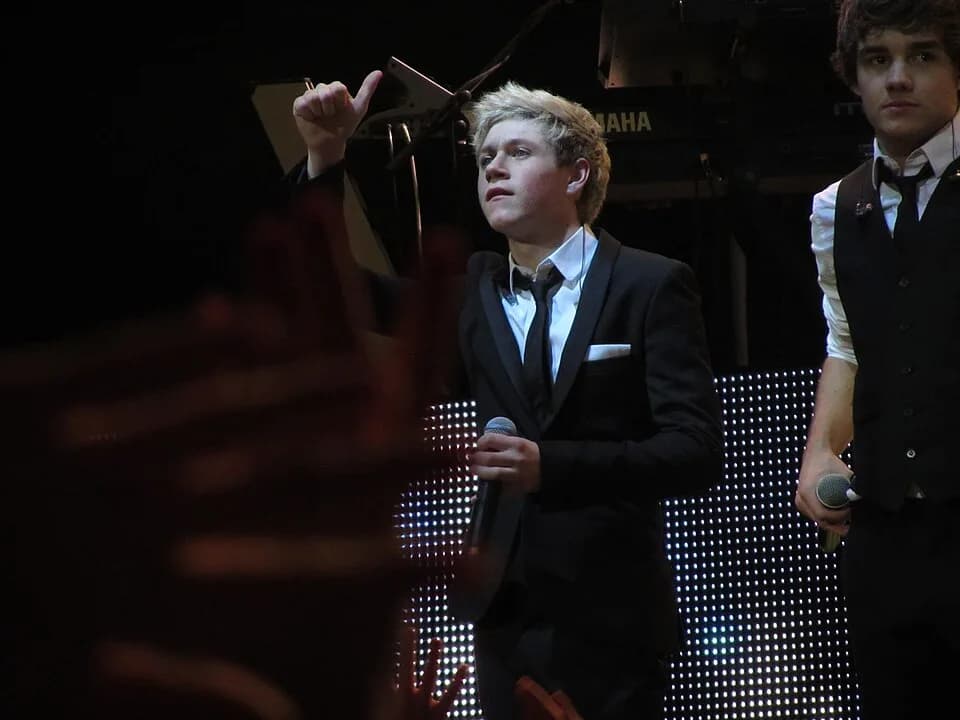 Liam Payne - Niall Horan and Liam Payne, One Direction, Clyde Auditorium, Glasgow, Saturday 14 January 2012