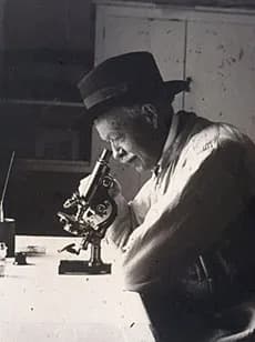 Charles Nicolle - Charles Nicolle devant son microscope