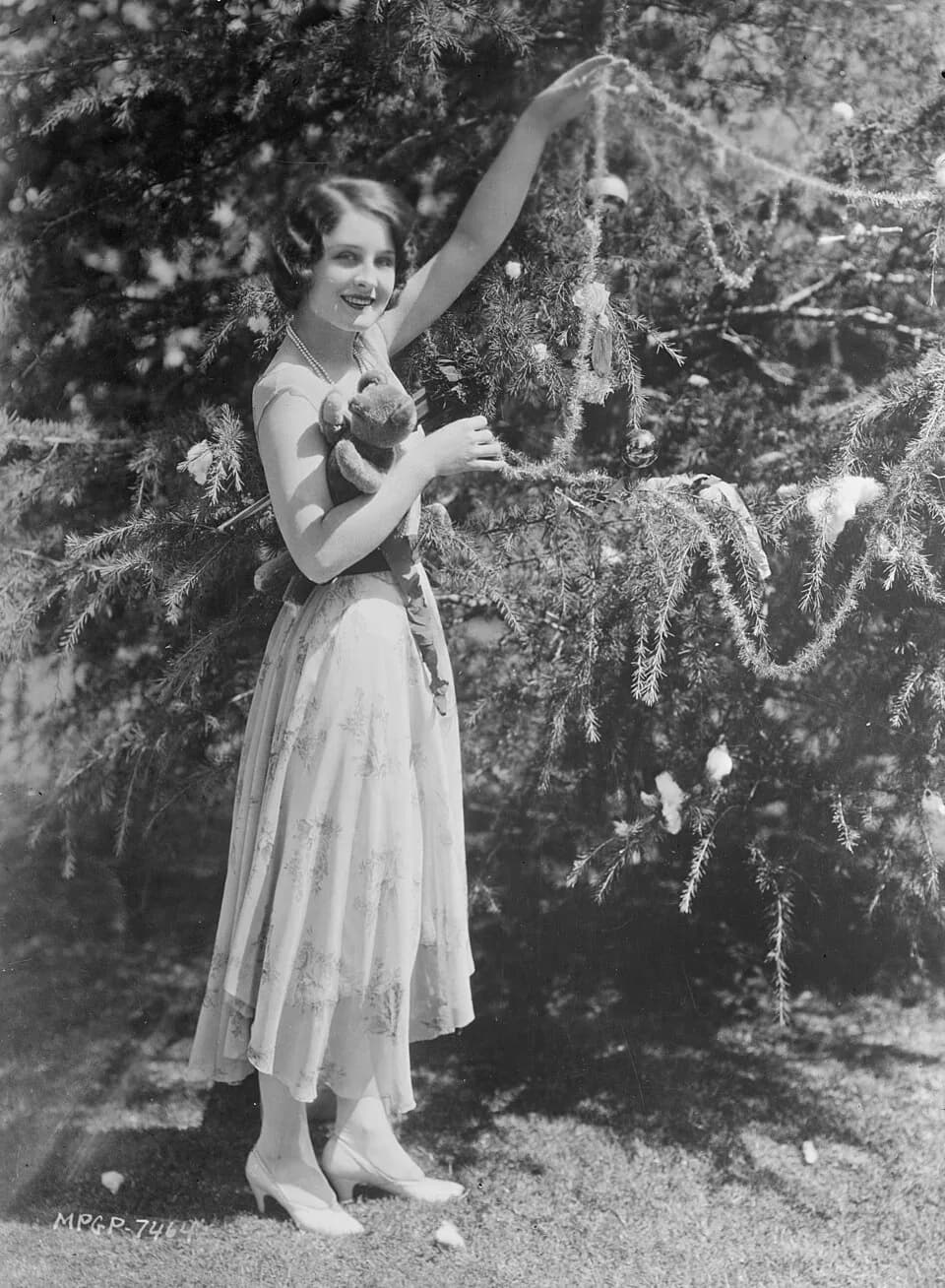 Norma Shearer - Photograph of Norma Shearer decorating tree.