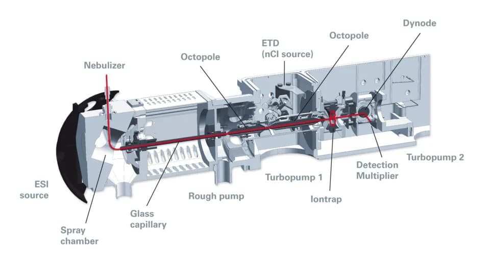 Wolfgang Paul - Bruker high capacity ion trap mass spectrometer source schematic
