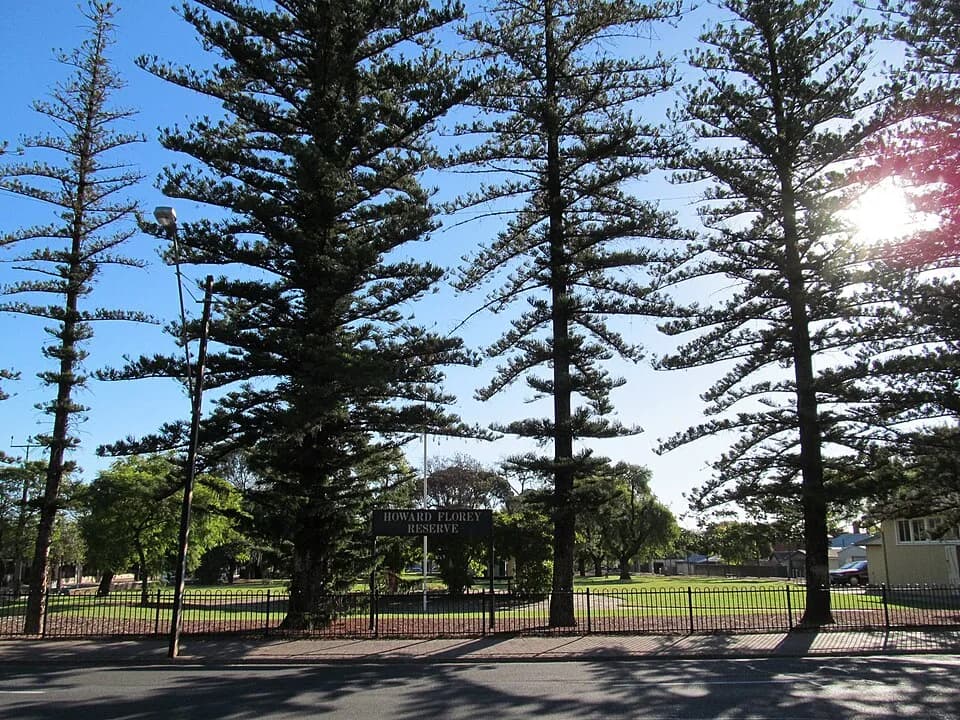 Howard Florey - Howard Florey Reserve, Fullarton Road, Parkside, Adelaide.