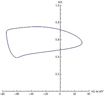Andrew Huxley - Hodgkin Huxley limit cycle in phase space. Voltage v(t) in millivolts and potassium gating variable n(t) (dimensionless).