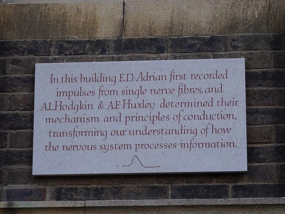 Andrew Huxley - Plaque in Cambridge commemorating the first recorded impulses from a single nerve fibre by E.D.Adrian