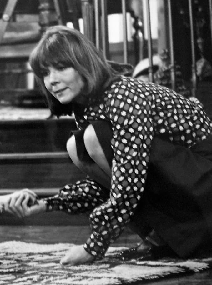 Diana Rigg - Photo of Diana Rigg as Diana Smythe, from the television program Diana.