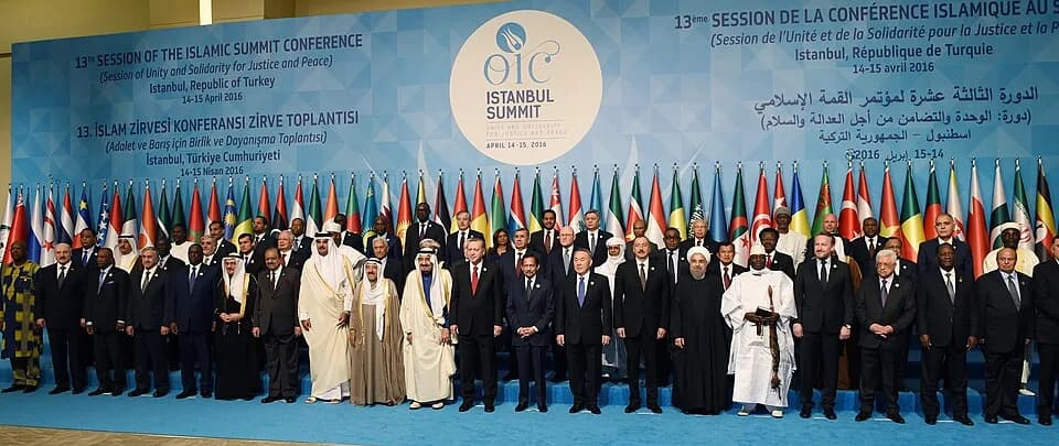 Mamnoon Hussain - Family photo of 13. Session of the Islamic Summit Conference in Istanbul, Turkey.