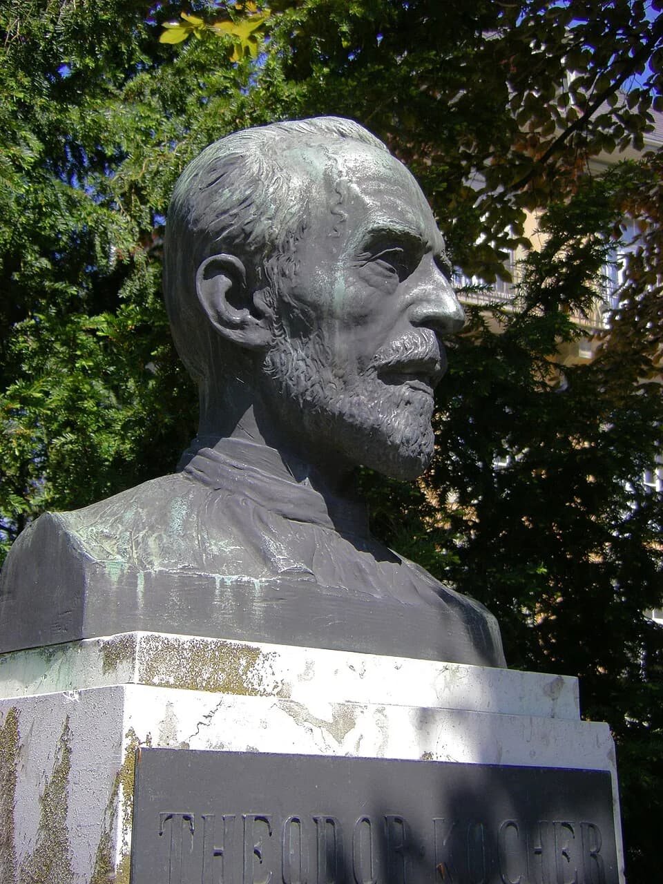 Emil Theodor Kocher - Büste Theodor Kochers beim Haupteingang des Inselspitals in Bern, Schweiz. Bildhauer: Karl Hänny (1879-1972). Büste von 1927.