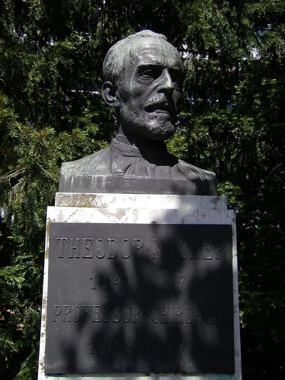 Emil Theodor Kocher - Büste Theodor Kochers beim Haupteingang des Inselspitals in Bern, Schweiz. Bildhauer: Karl Hänny (1879-1972). Büste von 1927.