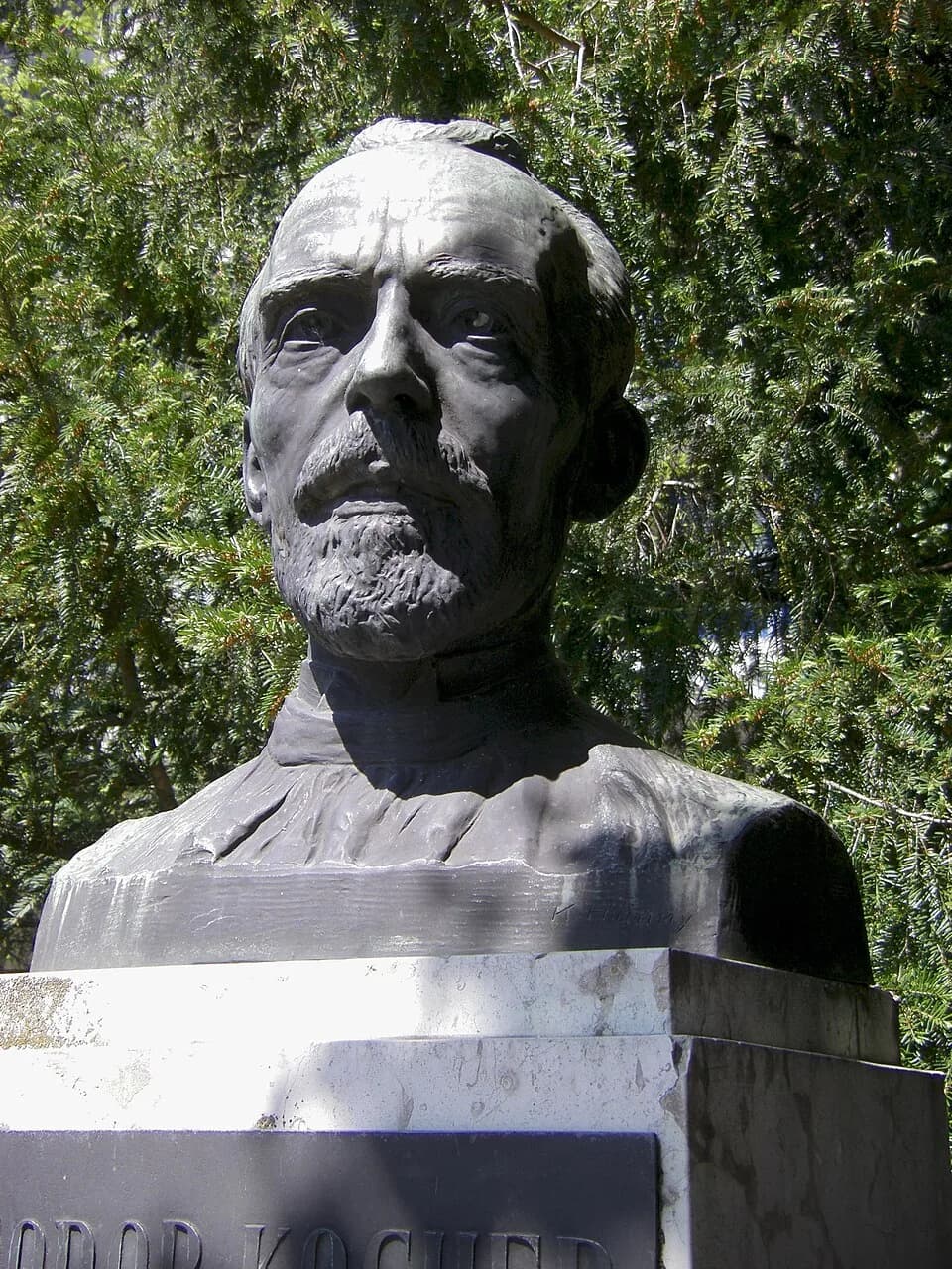 Emil Theodor Kocher - Büste Theodor Kochers beim Haupteingang des Inselspitals in Bern, Schweiz. Bildhauer: Karl Hänny (1879-1972). Büste von 1927.