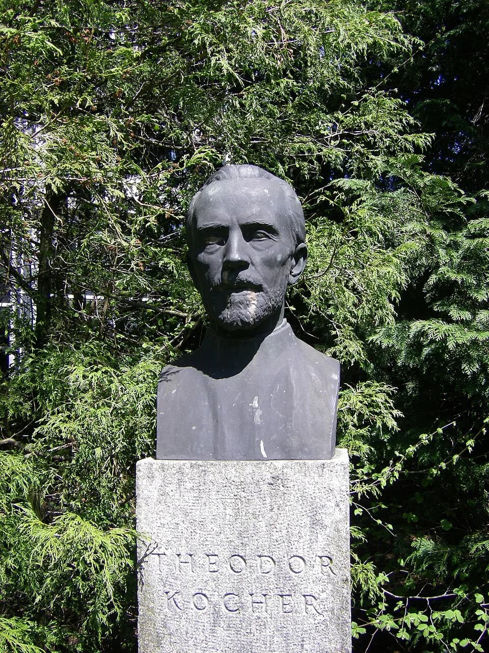 Emil Theodor Kocher - Büste Theodor Kochers im Kocherpark, Bern, Schweiz. Bildhauer: Max Fueter (1898-1983). Büste von 1944.