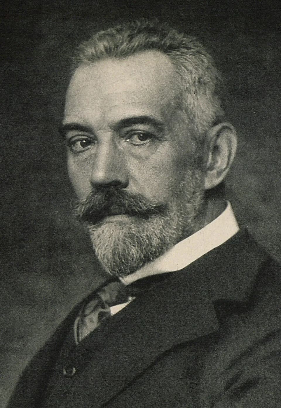 Theobald von Bethmann Hollweg - Theobald von Bethmann-Hollweg Portrait.jpg
