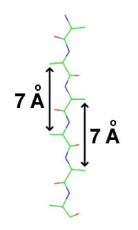Anders Jonas Ångström - Beta-sheet, fully-extended (phi=psi=180º), showing 7 angstrom spacing between residues on either side of the sheet.