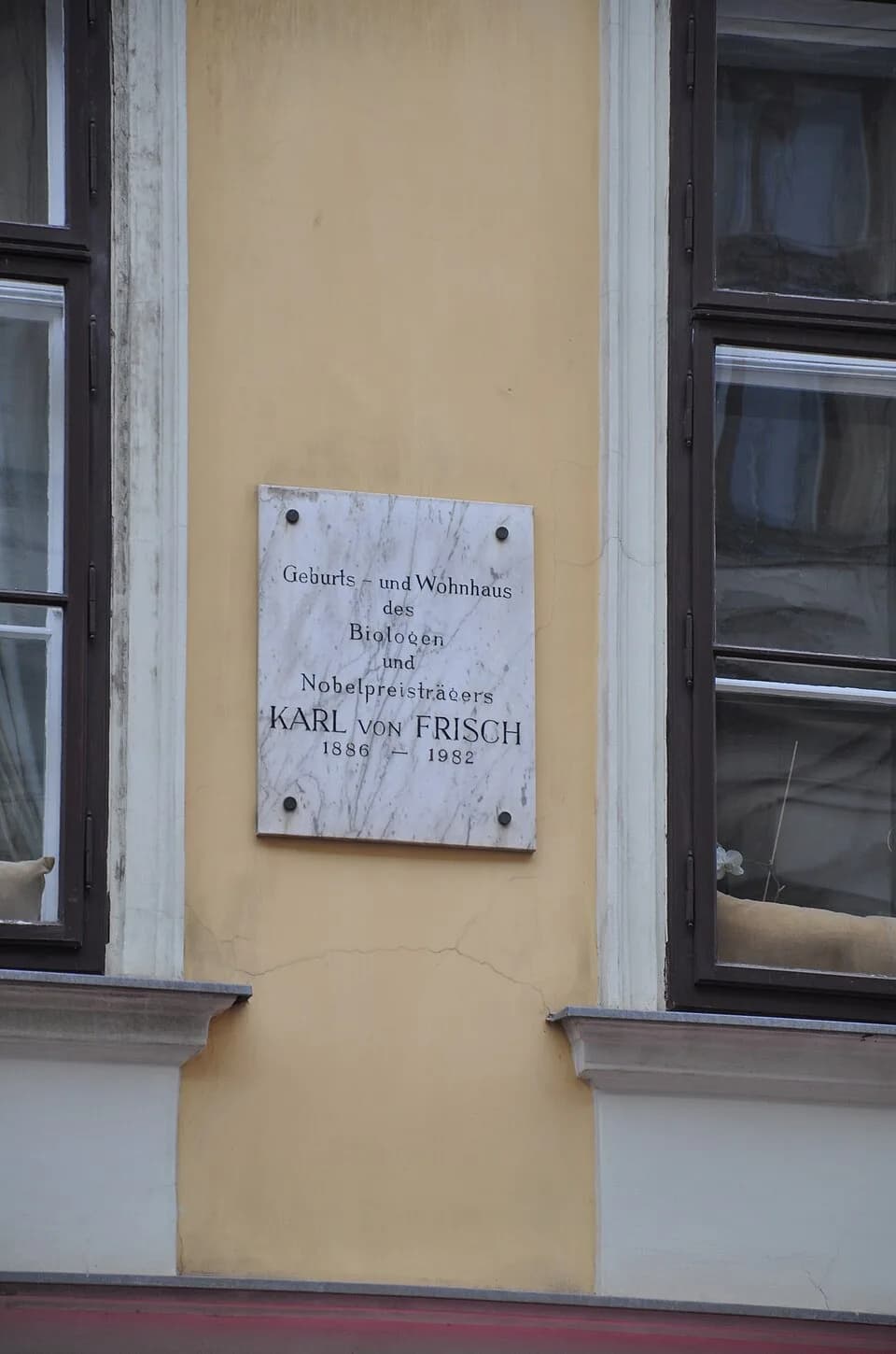 Karl von Frisch - Wien-Josefstadt, Haus Josefstädter Straße 17

Gedenktafel für Karl von Frisch