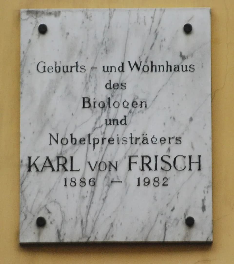 Karl von Frisch - Gedenktafel für Karl von Frisch in der Josefstädter Straße in Wien-Josefstadt