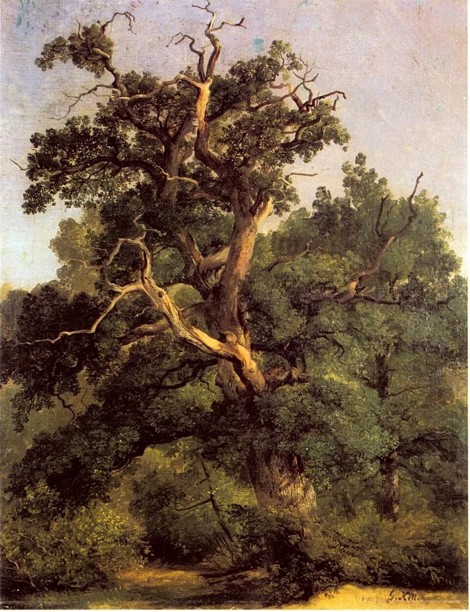 Gottfried Keller - Oakslabel QS:Len,"Oaks"label QS:Lde,"Eichen"