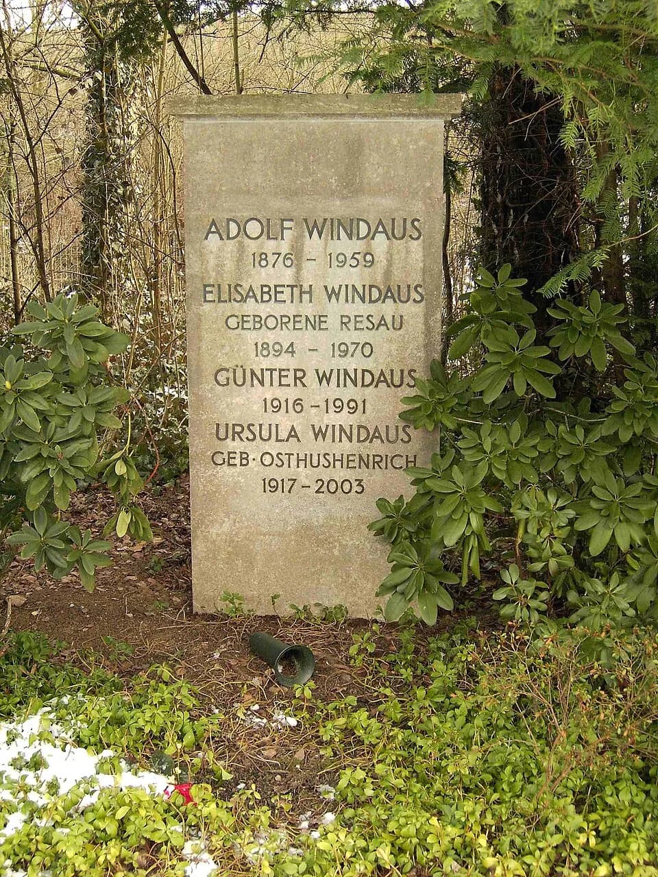 Adolf Windaus - Göttingen, Stadtfriedhof, Kassler Landstr, Grave of Nobel laureate Adolf Windaus