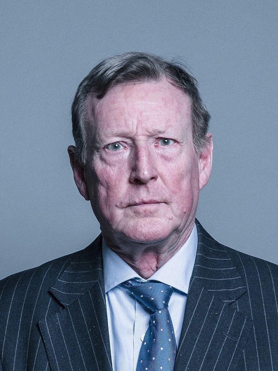 David Trimble - Official portrait of Lord Trimble