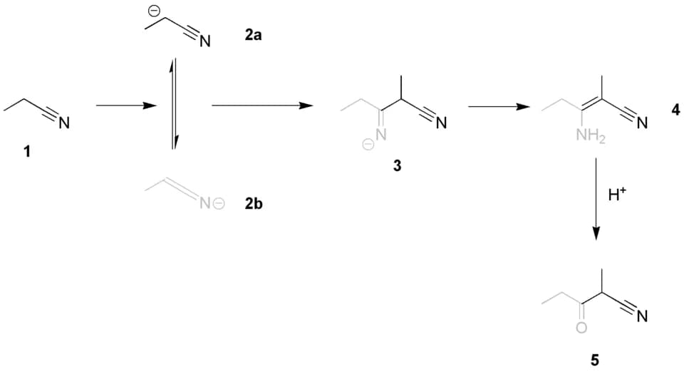 Karl Ziegler - Diagram of the Thorpe reaction.