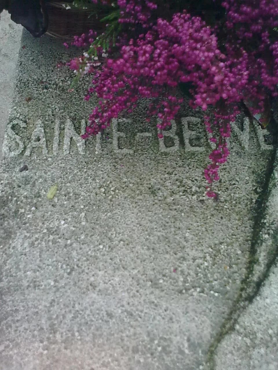 Charles-Augustin Sainte-Beuve - Tombe de l'écrivain Charles-Augustin Sainte-Beuve