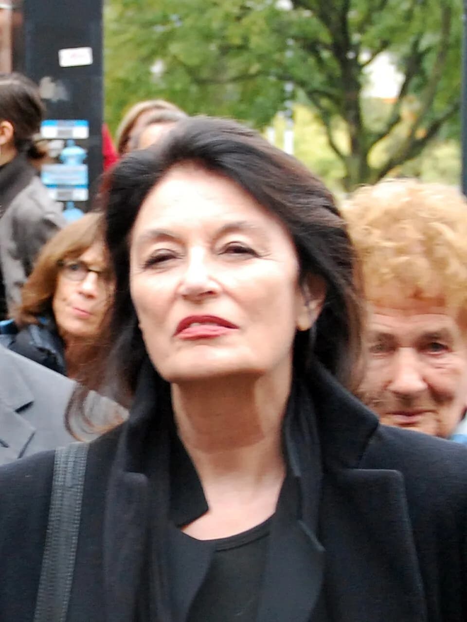 Anouk Aimée - French actress Anouk Aimée at a tribute to Jacques Demy, 23 October 2010