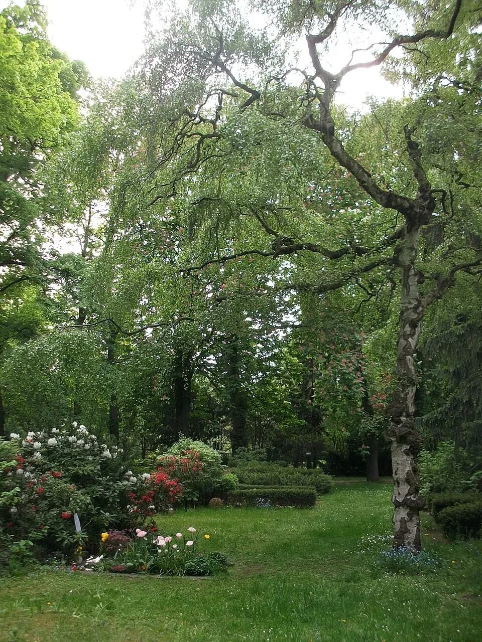 Ulrike Meinhof - Grave of Ulrike Meinhof (2015)