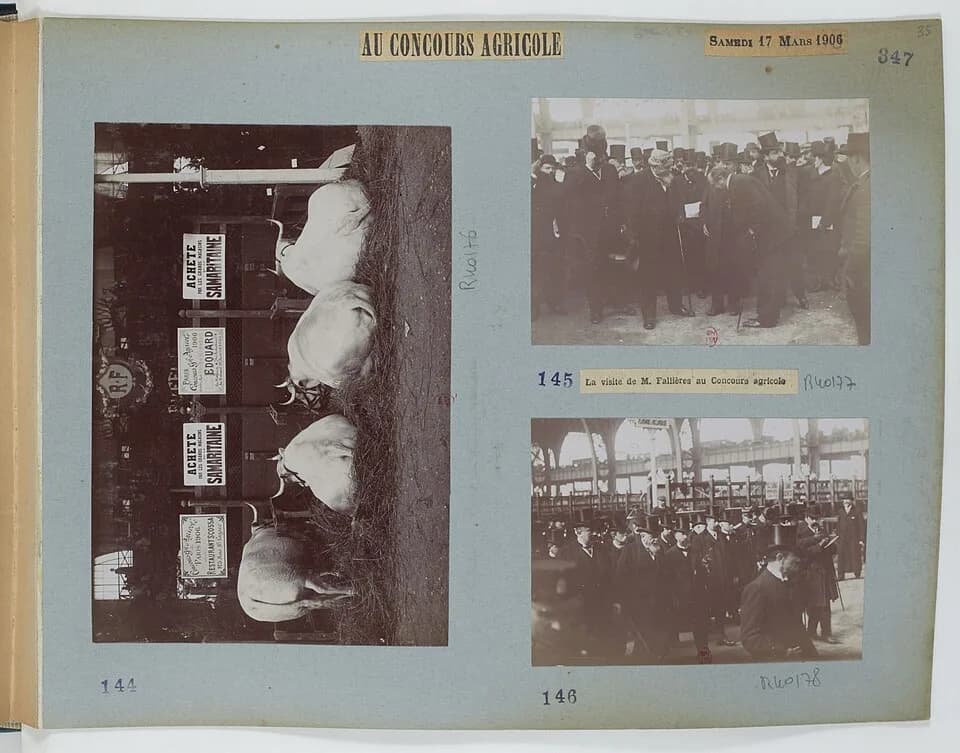 Armand Fallières - [Collection Jules Beau. Photographie sportive] : T. 31. Années 1905 et 1906 / Jules Beau : F. 35. Concours agricole, 17 mars 1906;