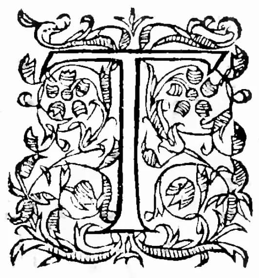 Jean Bodin - Alphabet, medieval letter T