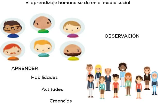 Albert Bandura - Albert Bandura, teoría del aprendizaje social