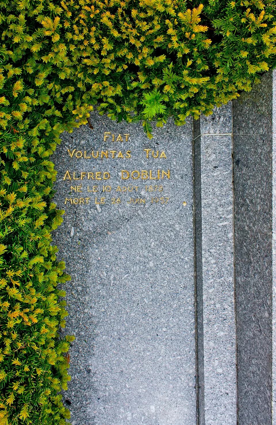 Alfred Döblin - Döblin's burial site in Housseras, France.