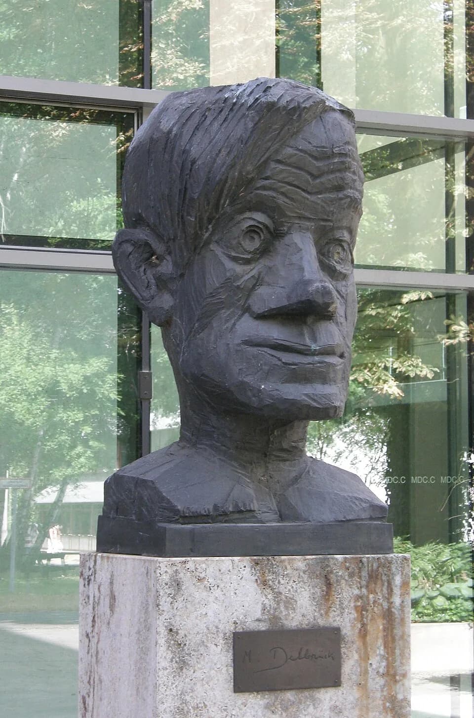 Max Delbrück - Bronzene Büste des Physikers und Molekularbiologen Max Delbrück. Geschaffen 2003 von Hans Scheib. Standort auf dem biomedizinischen Campus Berlin-Buch vor dem "Max Delbrück
Communicatio