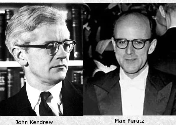John Kendrew - Jonh C. Kendrew y Max F. Perutz obtuvieron el Premio Nobel de Química en 1962 por sus trabajos sobre la conformación tridimensional de las proteínas globulares
