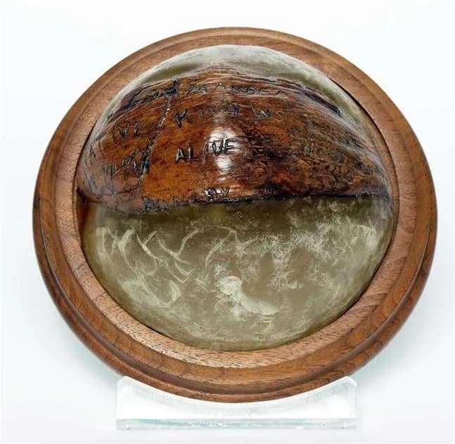 John F. Kennedy - Coconut Shell Paperweight - Original coconut on which the rescue message was inscribed by Kennedy to rescue the crew of the PT-109 and delivered by natives, Biuku Gasa and Eroni Kuma