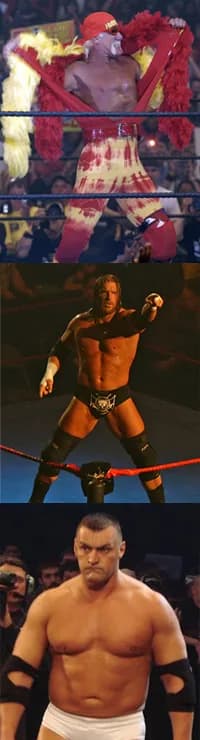 Hulk Hogan - Three of the Wrestling Observer Newsletter's Most Overrated Wrestler of the Year Award Winners (Hulk Hogan, Triple H and Vladimir Kozlov)