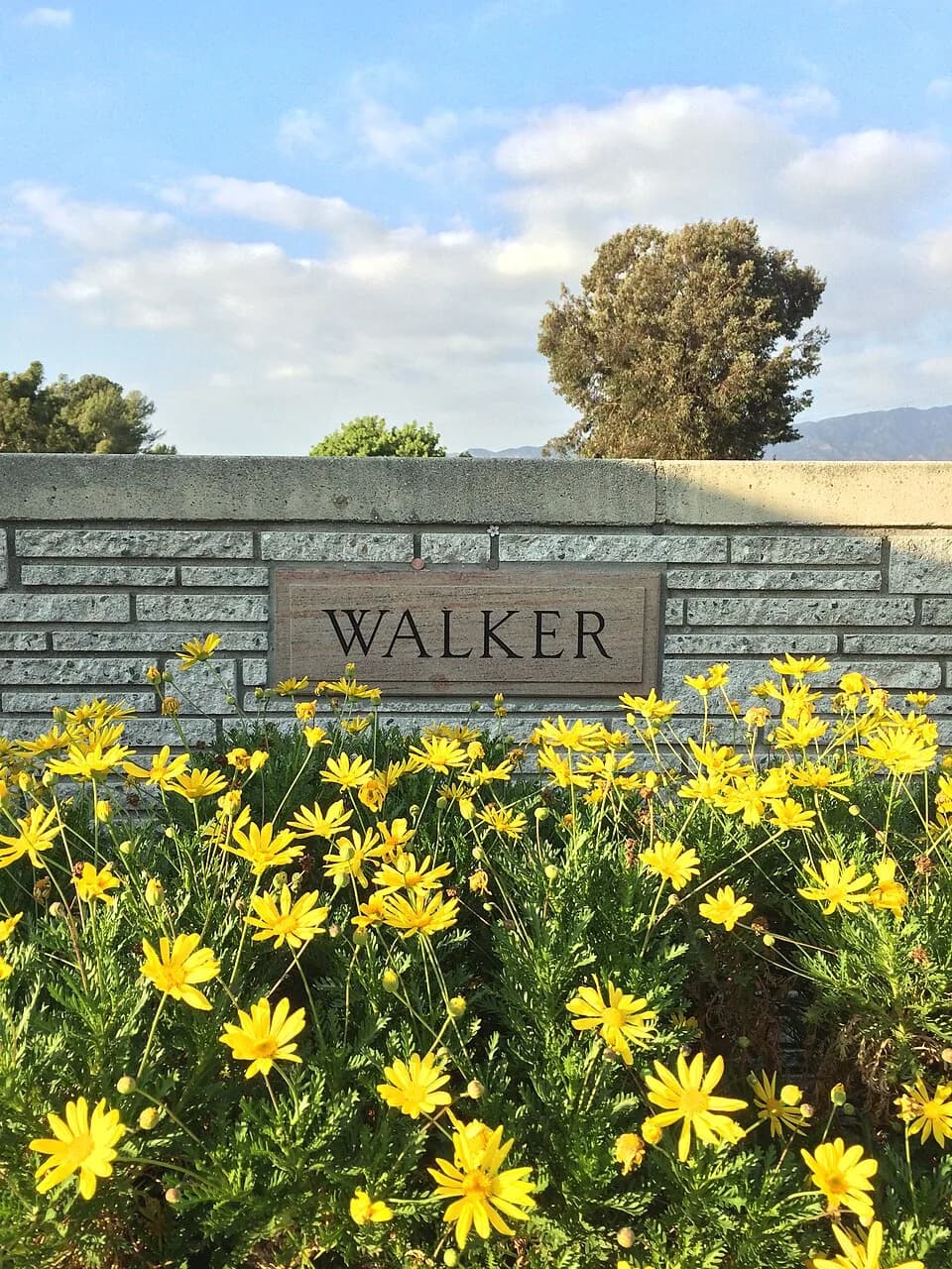 Paul Walker - Grave of Paul Walker at Forest Lawn Hollywood Hills.