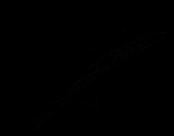 Goo Hara - Goo Hara's signature extracted from the source