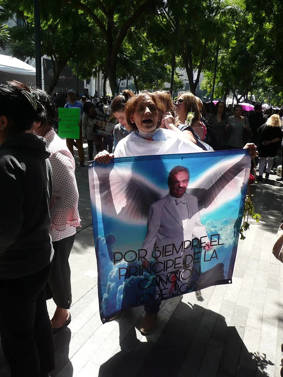 José José - José José fans waiting for enter to Palacio de Bellas Artes. Funerals of Mexican singer José José.
Palacio de Bellas Artes, Mexico City Mexico.
