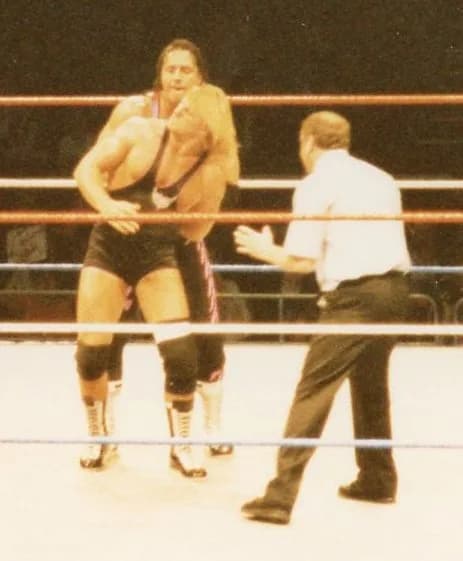 Owen Hart - Brothers Bret (behind) and Owen (in front) Hart wrestling each other.