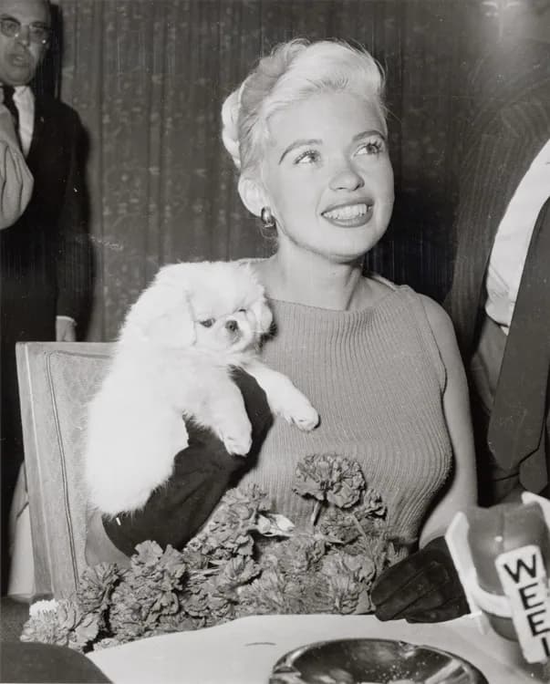 Jayne Mansfield - Bezoek Jayne Mansfield met pekineesje Powderpuff tijdens persconferentie op Schiphol, 10 oktober 1957

Foto Ben van Meerendonk / AHF, collectie IISG, Amsterdam