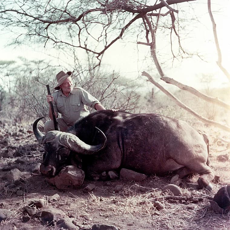 Ernest Hemingway - Ernest Hemingway poses with a African buffalo (Syncerus caffer) while on safari in Africa, 1953-1954.