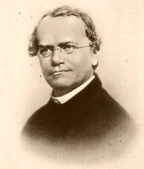 Gregor Mendel - Gregor Mendel