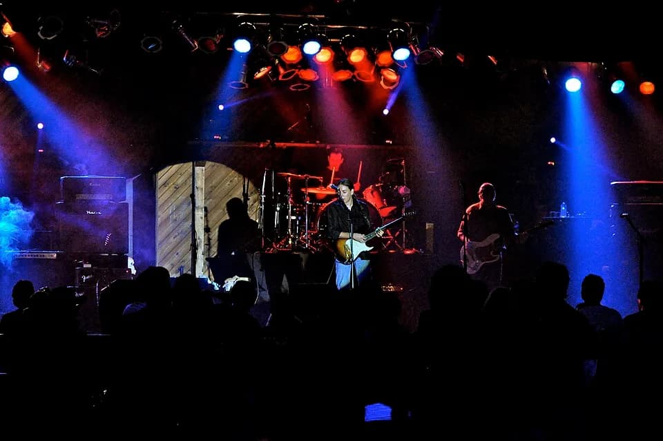 Stevie Ray Vaughan - DSC_0089 /  Tommy Katona