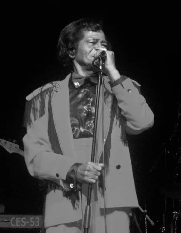 James Brown - Mr Brown performing live, on tour.