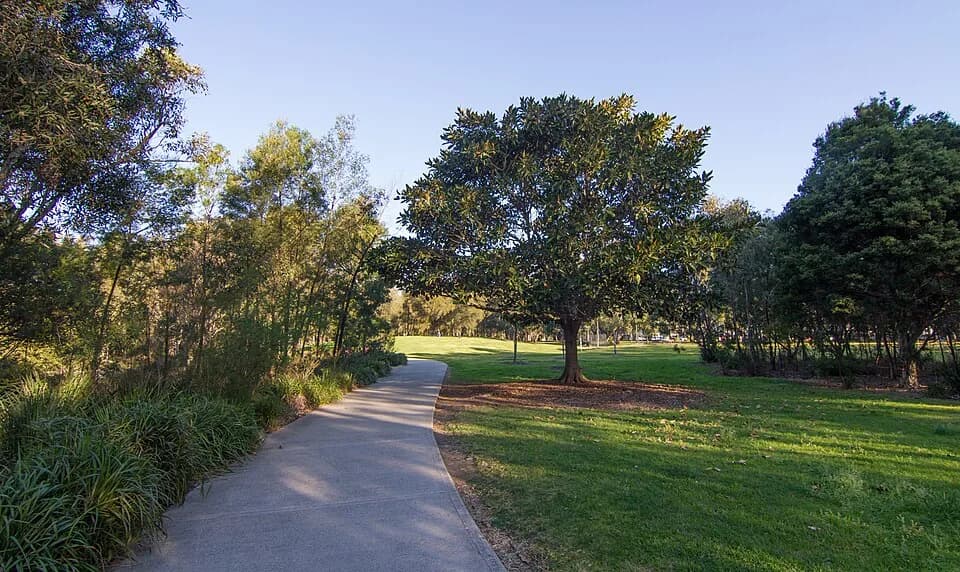 Gough Whitlam - Earlwood NSW 2206, Australia