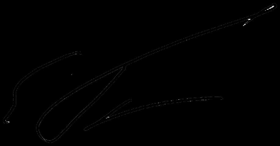 Egor Gajdar - Signature of Yegor Gaidar.
