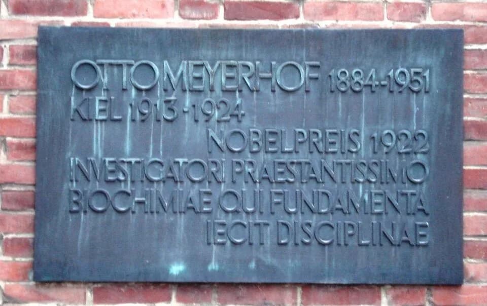 Otto Fritz Meyerhof - Meyerhof, Otto - Gedenktafel Uni Kiel