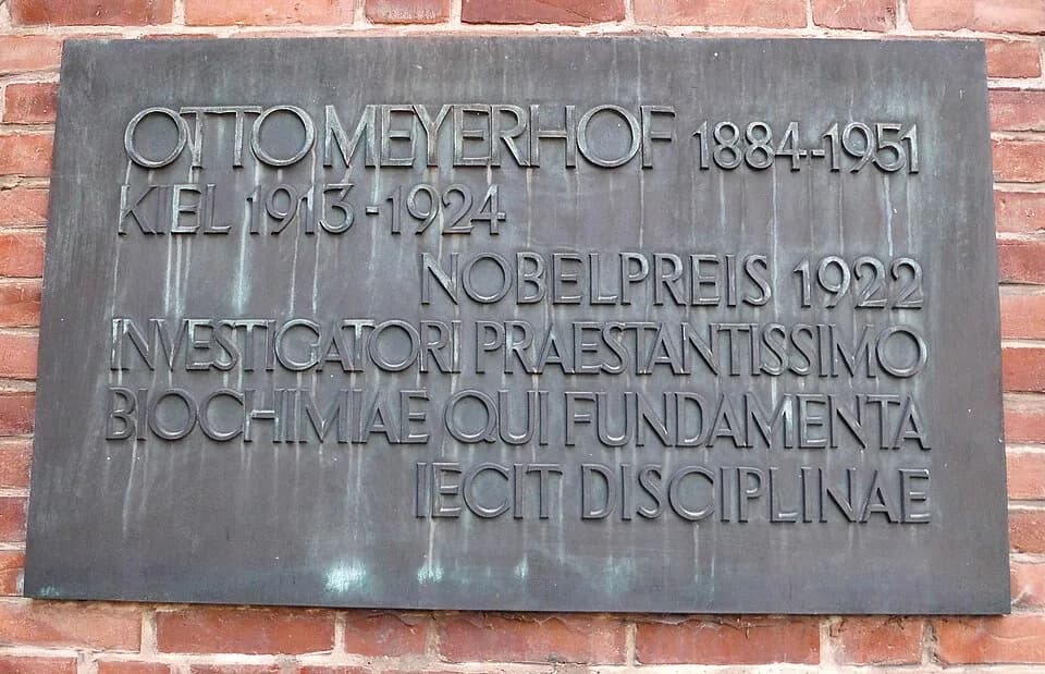 Otto Fritz Meyerhof - Gedenkplakette (Detail) an der Fassade des Universitäts-Gebäudes Rudolf-Höber-Straße 1-2 im Kieler Stadtteil Ravensberg. Siehe auch Gesamtaufnahme.