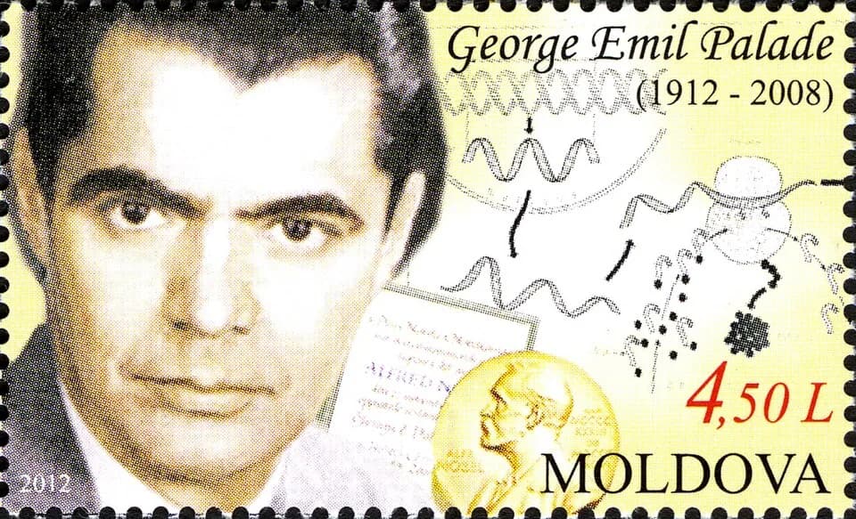 George Emil Palade - Stamps of Moldova