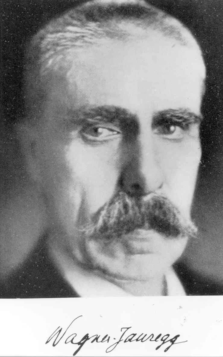 Julius Wagner-Jauregg - Julius Wagner-Jauregg