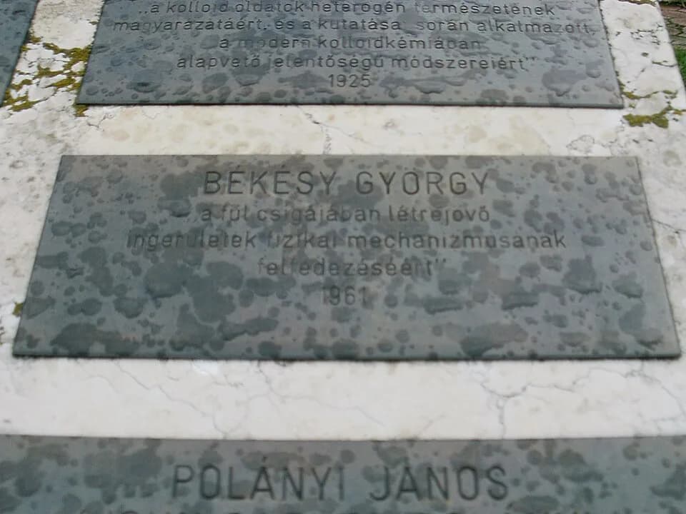 Georg von Békésy - Békésy György emléktáblája Egerben